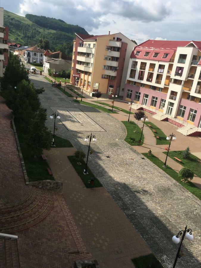 Apartament Antonia Apartment Târgu Ocna Exterior foto