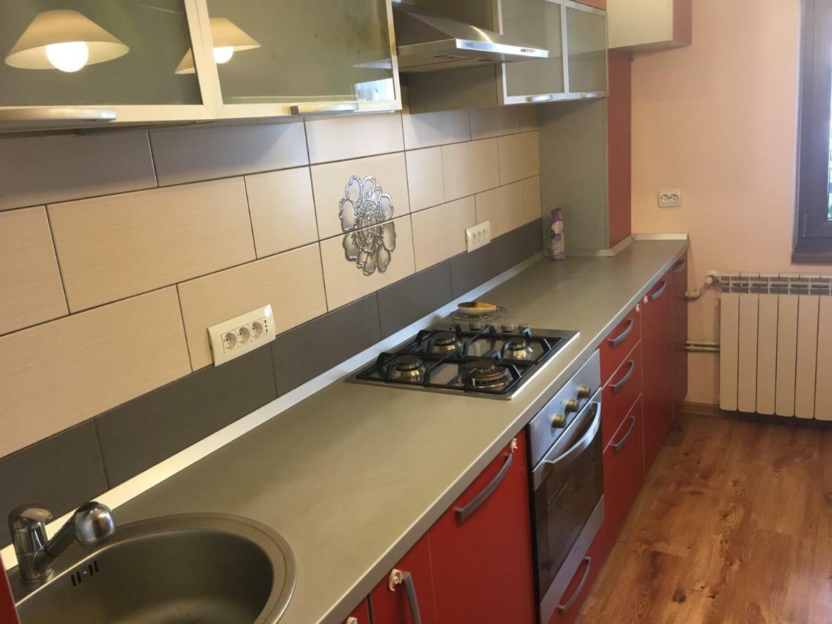 Apartament Antonia Apartment Târgu Ocna Exterior foto
